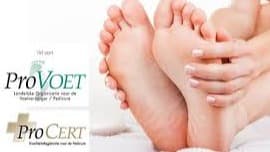 downloadprovoet.jfif