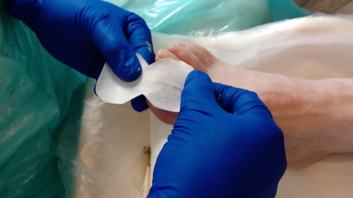 PHOTO-2020-10-06-10-37-19schimmel3